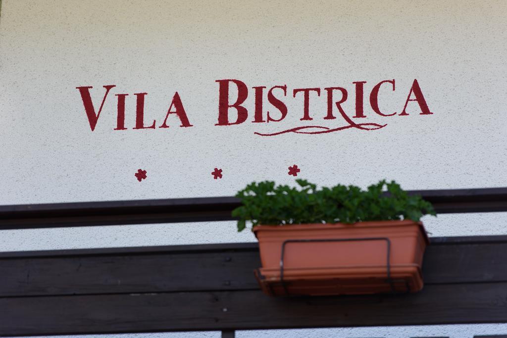 بوهينيسكا بيستريكا Penzion Vila Bistrica المظهر الخارجي الصورة
