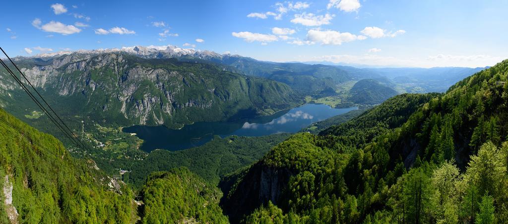 بوهينيسكا بيستريكا Penzion Vila Bistrica المظهر الخارجي الصورة